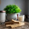 Palo Santo — Bois Sacré de Purification – bracelet pierre naturelle Terralith