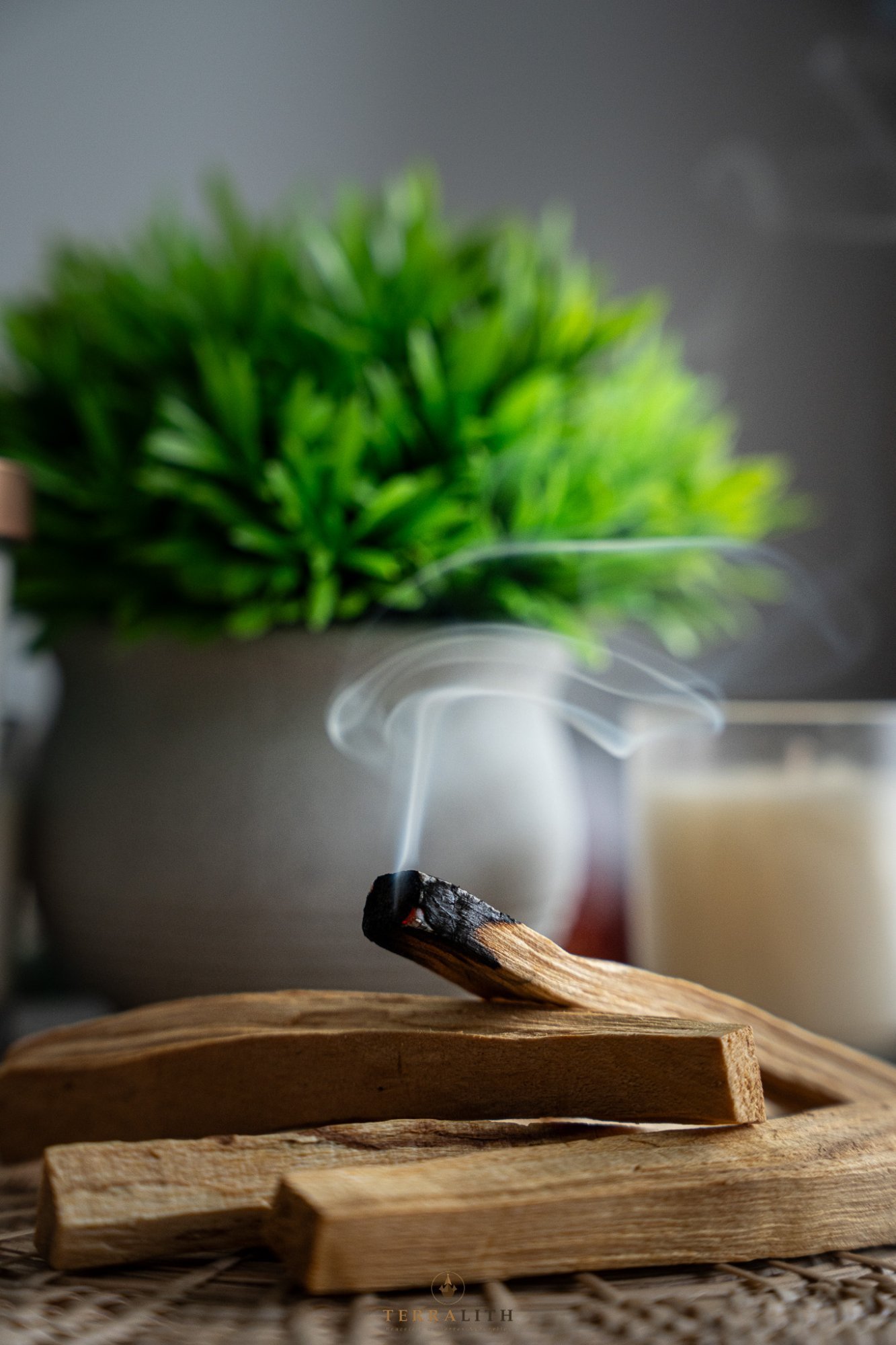 Palo Santo bois sacré